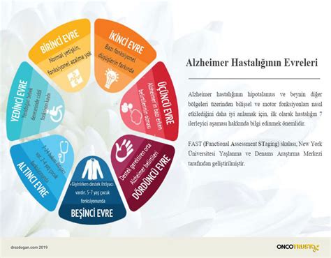 Alzheimer hastalığı nedir Prof Dr Mustafa ÖZDOĞAN