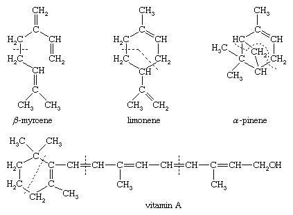 Isoprenoid | chemical compound | Britannica.com