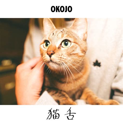 OKOJO 猫舌 歌詞 -【歌詞リリ】