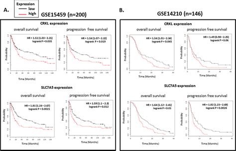 Ectopic Expression Of Slc7a5 Reversed The Biological Phenomena Induced Download Scientific