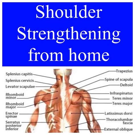 Dr Stacie Morris Dpt Usaw Frc On Instagram Shoulder Strengthening