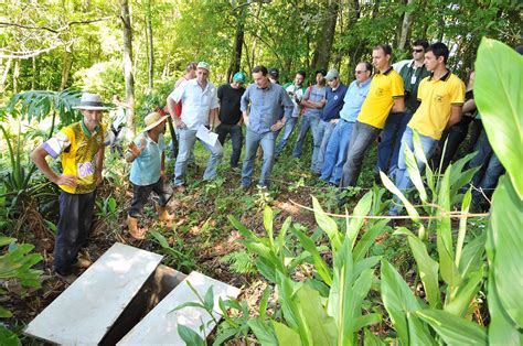 Preservação de Nascentes ENGIE Brasil