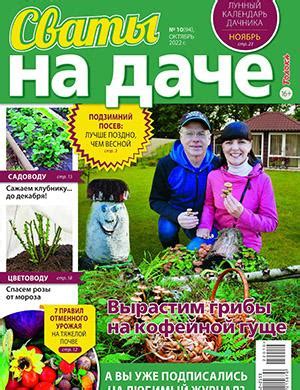 Сваты на даче №10 октябрь - 2022 ♦ Читать журнал на zhurnala.ru