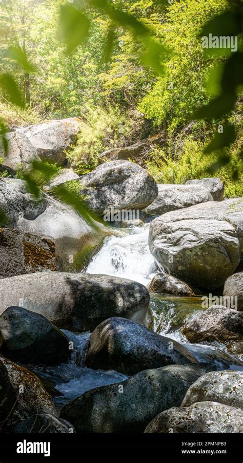 An Idyllic Stream Winds Its Way Through A Lush Green Landscape Complete With Rocks Trees And