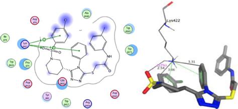 Molecular Docking Interactions Of Compound 12d 2d And 3d Download