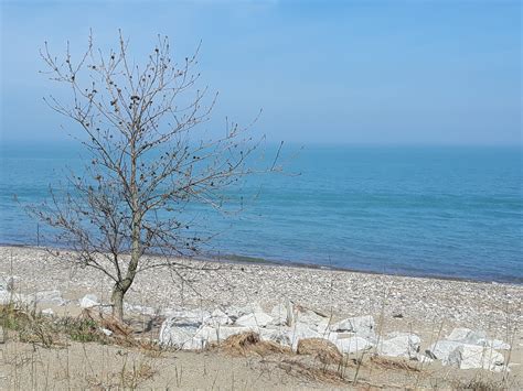 Illinois Beach State Park, an Illinois State Park located near Antioch, Buffalo Grove and Deerfield