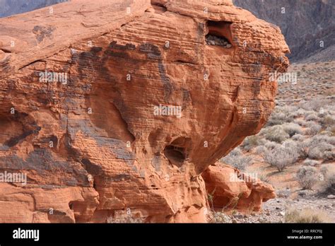 Rock Formations In Valley Of Fire State Park Nevada Usa Eroded Red Sandstone Aztec Sandstone