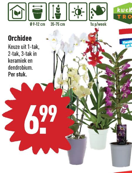 Folder Aanbieding Bij Aldi Details