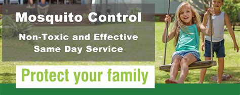 Mosquito Control Services Effective And Non Toxic Same Day Service For