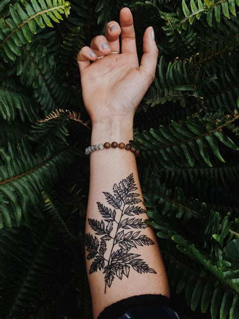 Fern tattoo | Fern tattoo, Inspirational tattoos, Tattoos