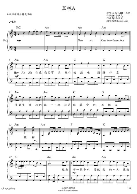 鋼琴譜下載 廷廷的鋼琴窩 五線譜、簡譜 Piano Sheet Music Download 王大毛dj小魚兒 黑桃a 鋼琴原