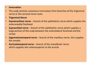 Anatomy frist topic Scalp.pptx