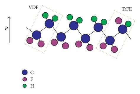 Schematic of molecular structure of P VDF TrFE in the β phase The