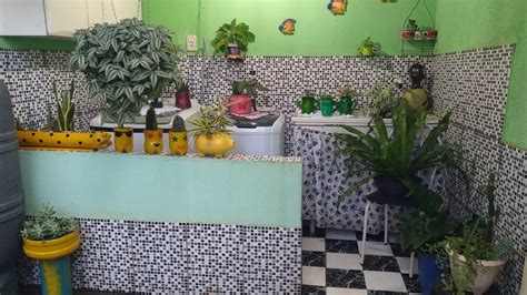 UM CANTINHO DECORADO PLANTAS Desafio YouTube