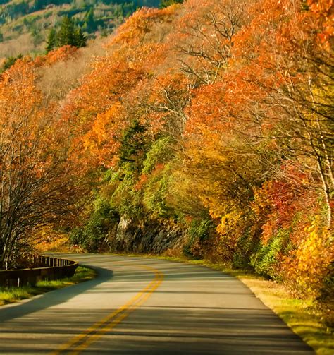 Autumn Season Road Free Stock Photo - Public Domain Pictures