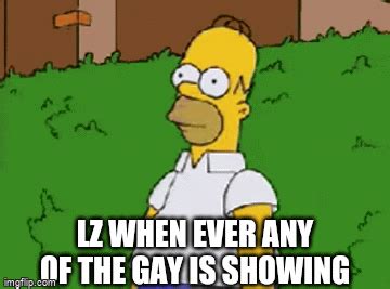 Im Gay Meme Green Screen Kjalonestar