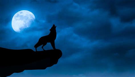 100 Wolf Moon Wallpapers Wallpapers