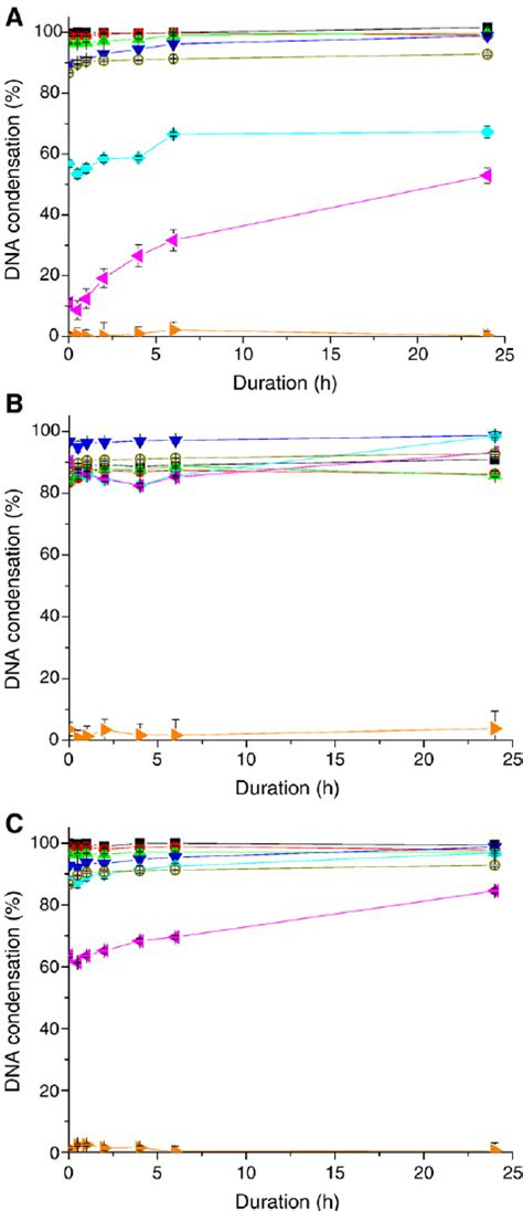 Transfection Efficacy Of Pei Arg Pei Lys And Pei Leu Polyplexes At