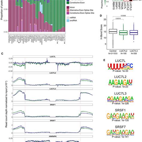 Clip Seq Assays Reveal Common And Distinct Rna Binding Sites A Download Scientific Diagram