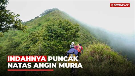 Sepenggal Cerita Pendakian Puncak Natas Angin Muria YouTube