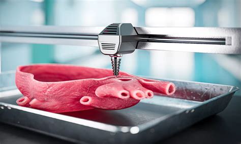 Regenerative Medicine How 3D Printing Is Changing Lives