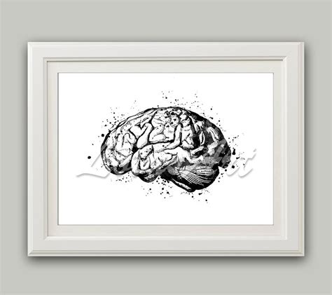 Brain Art Human Brain Anatomy Art Brain Print Brain Wall Art | Etsy