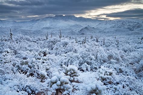 It All Started With the Snow | Arizona Highways