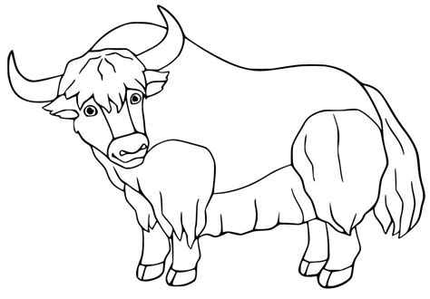 A Cartoon Yak Coloring Play Free Coloring Game Online