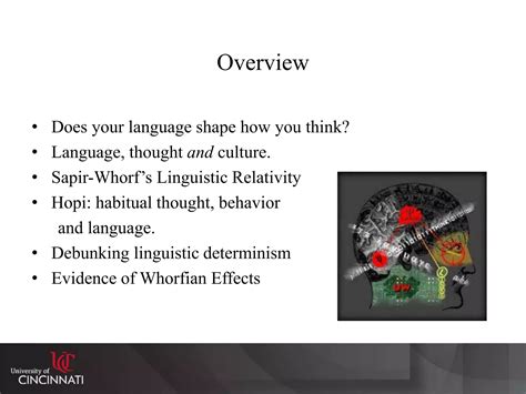 Traveling Conceptualizations A Cognitive And Anthropological Linguistic Study Of Jamaican Culture And Language Use 4