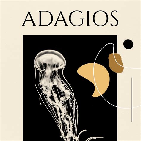 Adagios Album By Various Artists Apple Music