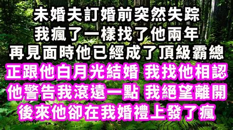 未婚夫訂婚前突然失踪，我瘋了一樣找了他兩年，再見面時他已經成了頂級霸總，正跟他白月光結婚，我找他相認，他警告我滾遠一點，我絕望離開，後來他卻在