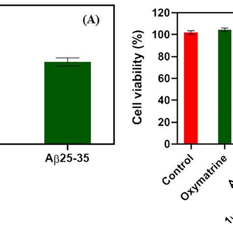 Microscopic Observation Of Oxymatrine And Aβ2535 Induced Pc12 Cells