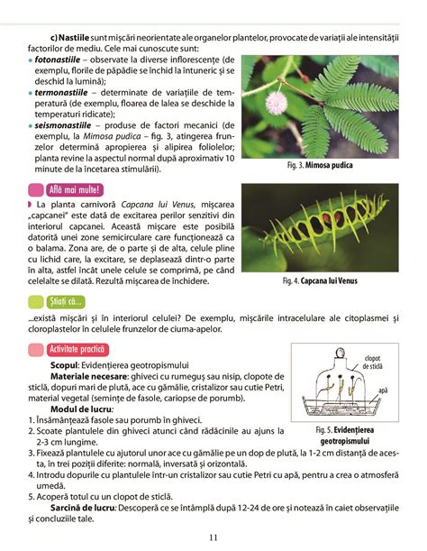 Biologie Pentru Clasa A Vii A A Pdf Pag