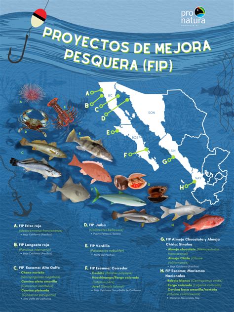 Proyectos De Mejora Pesquera Fip Por Sus Siglas En Ingl S