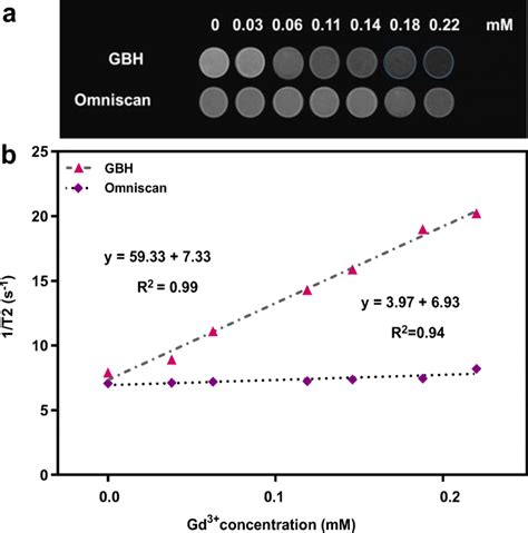 A T2 Weighted Mr Image Of The Different Gd³⁺ Concentrations Mm Of Gbh