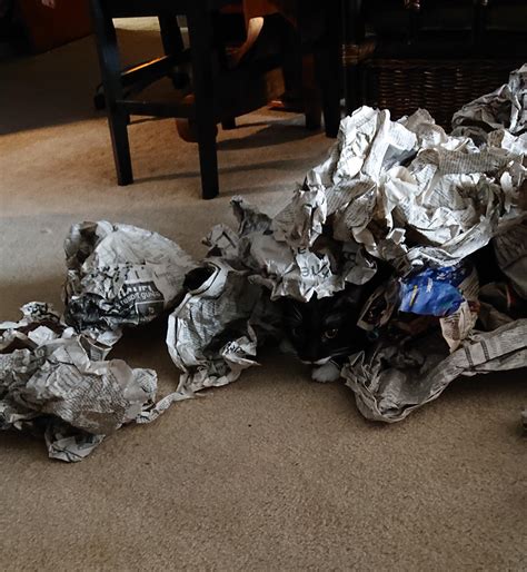 Best Stuffing Images On Pholder Food Porn Food And Eatsandwiches