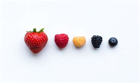 7 Ultra-Healthy Berries With Extraordinary Health Benefits