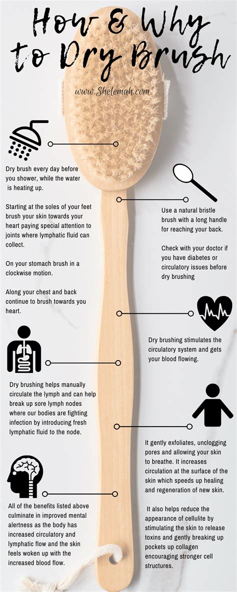 Dry Brushing For Skin Circulatory And Lymphatic Health Shelemah