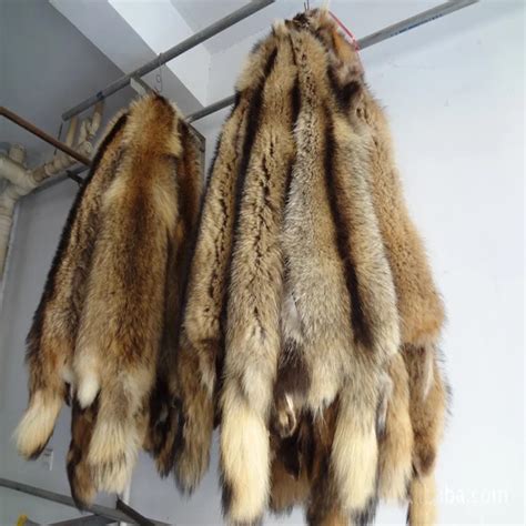 Animal fur pelts real Raccoon dog fur skins high quality Chinese raccoon skin fur -in Fur from ...