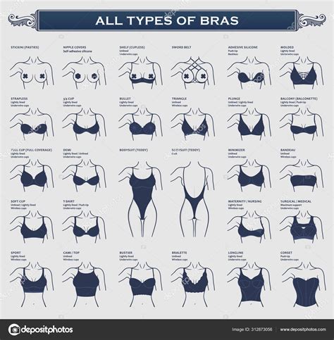 Types Of Bras The Most Complete Vector Collection Of Lingerie Stock