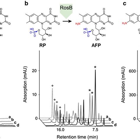 N2‐sorption Isotherms Of Laccase Zif‐8 Circles And Of Neat Zif‐8