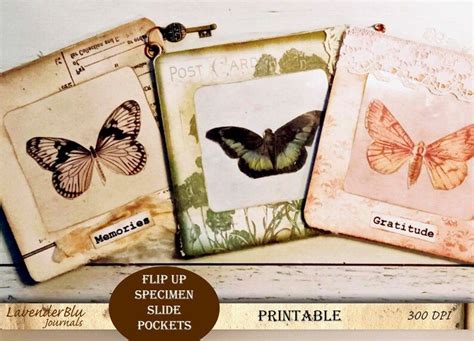 Junk Journal Specimen Ephemera Printables Scrapbook Kit Book