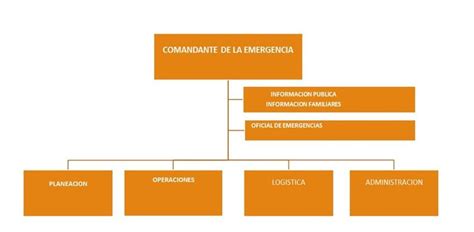 Roles Y Responsabilidades En El Comit De Emergencias