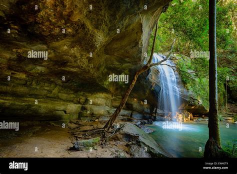 Serenity Falls At Buderim Forest Park Stock Photo Alamy