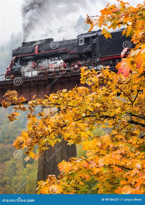 Autumn Yellow Tree In The Rain Against The Steam Train Locomotive