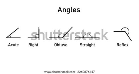 Types Angles Acute Right Obtuse Straight Stock Vector Royalty Free