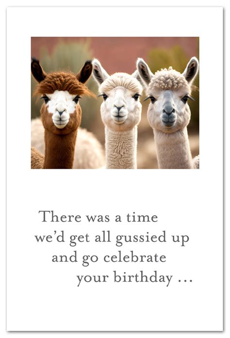 Alpaca Pals Card Cardthartic