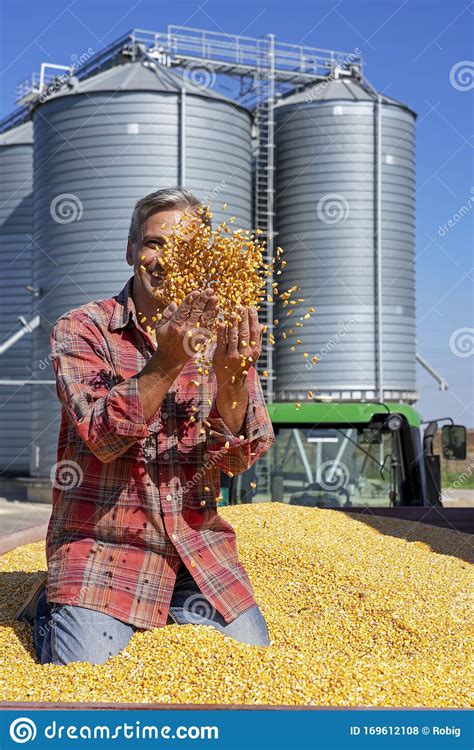 Feliz Agricultor Jogando Grãos De Milho De Milho De Milho Colhido Febre