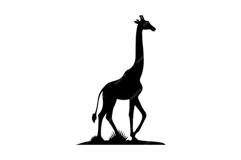 Premium Vector Giraffe Silhouette Vector Illustration Eps