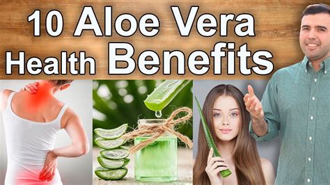 10 Health Benefits And Uses Of Aloe Vera Skin Digestion Constipation Diabetes Cancer And